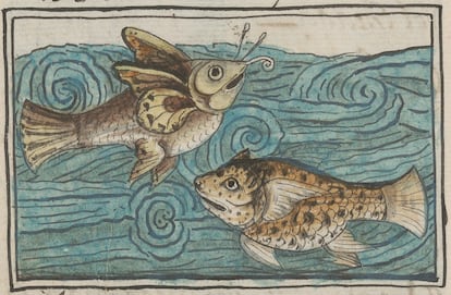 Butterfly fish and a jaguar fish, from Book 11 of the Florentine Codex.