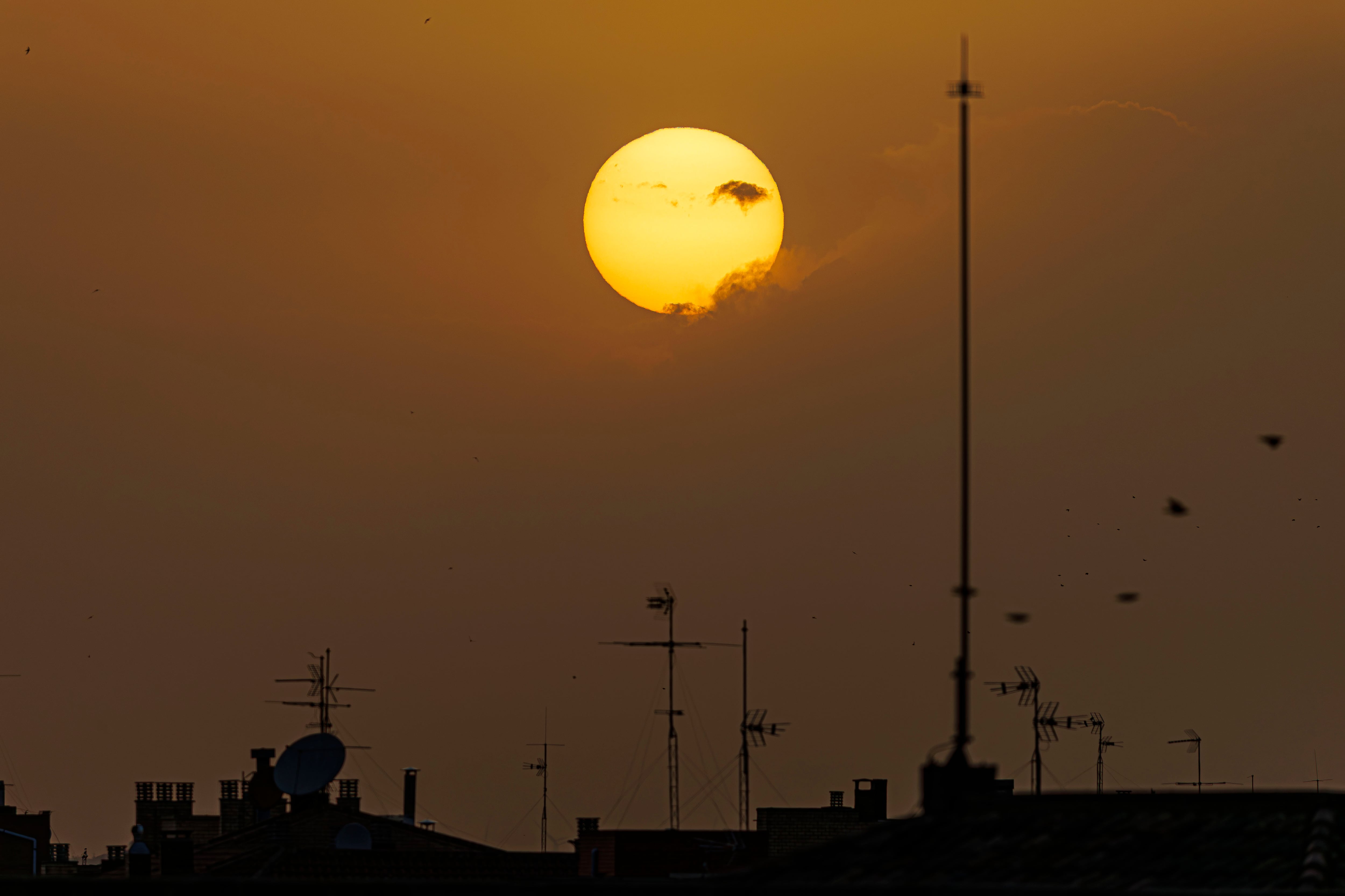 La ola de calor generaliza los 40 grados y pone en alerta sanitaria al 85% de los municipios de España