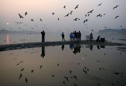 Un grupo de personas alimenta gaviotas en la confluencia de los ríos Yamuna y Saraswathi, en Allahabad (India).