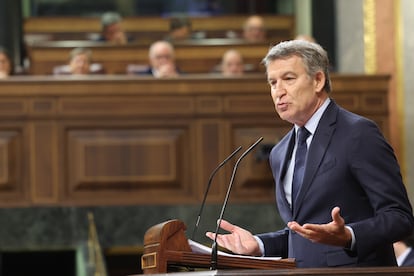 Alberto Núñez Feijóo, durante su intervención en el Congreso este miércoles.