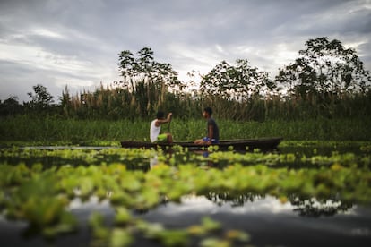 Amazon rainforest in Leticia Colombia