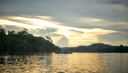 En junio se deforestó en la Amazonia un 88% más que el año anterior.