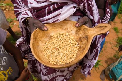 Para paliar la erosión de las tierras por el agua de lluvia, se intentan recuperar con distintos métodos, como instalar cordones de piedras o plantar semillas de ciclo corto de sorgo y mijo. Imagen en Lehneikaat, en los alrededores de Nema (Mauritania).