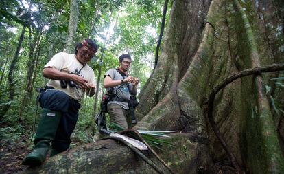 Ruta guiada por la selva en torno al río Pastaza, en el Amazonas de Ecuador.