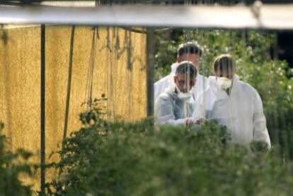 Científicos alemanes en una de las inspecciones a la granja de Bienenbüttel (Baja Sajonia).