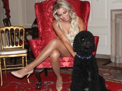 Beyoncé descansa en la Casa Blanca con Bo, uno de los perros de los Obama.