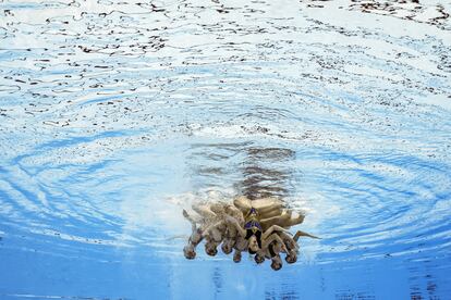 Natacion artistica