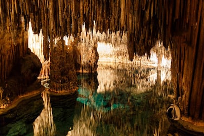 <b>El turista critica</b>. Horrible la massificaci. El lloc s molt bonic per et tracten com a bestiar. Moltes cues per a tot i sensaci claustrofbica en cas demergncia... Preu desmesurat. En fi, un atracament a m armada!<br> <b>Lexpert respon</b>. El problema que ens comenta es basa que hi ha visitants que han estat a altres coves, en les quals per tenir una mnima afluncia de visitants la visita es fa gaireb a la carta, i fins i tot de vegades sha de contactar per telfon amb el guia perqu els acompanyi. Quan arriben a les Coves del Drach, es troben que hi ha un grup ms o menys nombrs esperant per entrar, quan ells venen amb la idea de visitar una cova de forma gaireb privada, i, des daquell moment, ja canvia la seva perspectiva de la visita, malgrat que laforament sha redu?t en els ltims anys de forma sensible. Per donar una idea de locupaci de la cova, es podria comparar amb una visita en un museu, en el qual els visitants es van movent al seu ritme i saturen en certs punts per contemplar la cova o fer fotografies. El recorregut s duns 1.200 metres, i a lamfiteatre sempre hi ha molts seients sense ocupar, per a ms comoditat del visitant. Fins i tot, en temporada alta locupaci de bastants visites no arriba al 100%, i en temporada baixa locupaci s mnima. Tamb sha de tenir en compte que hi ha queixes de gent que quan arriba a les coves es troba amb visites ja completes i no poder entrar a lhora que havien previst, i per a aix fomentem ladquisici de les entrades online, per evitar temps despera i, de passada, obtenir un petit descompte. Matas Servera, director de les Coves del Drach.