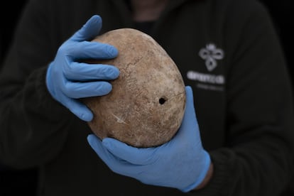 Un cráneo con un orificio de bala encontrado en los trabajos de excavación de la fosa de Pico Reja, en el cementerio sevillano de San Fernando.