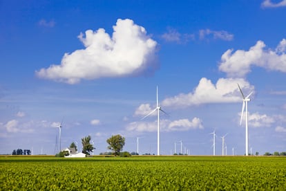 Molinos de energía eólica en Blue Creek (Estados Unidos).