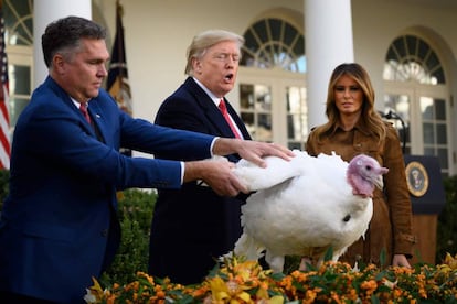 El presidente de EE UU, Donald Trump, indulta a un pavo en la Casa Blanca.