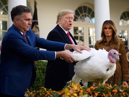El presidente de EE UU, Donald Trump, indulta a un pavo en la Casa Blanca.