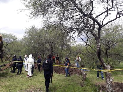 ersonal de la fiscalía estatal realiza labores de recuperación de restos óseos en un predio en los alrededores de Zamora, Michoacán