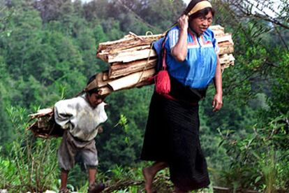 Una mujer maya transporta leña junto a su hijo en San Juan de Chamula (Estado mexicano de Chiapas).