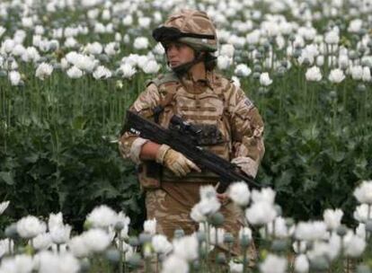 Una militar británica patrulla en un campo de amapolas opiáceas en la provincia de Helmand, en el sur de Afganistán.