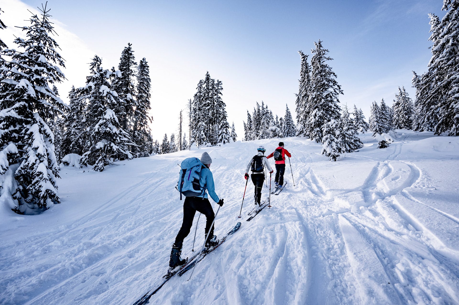 Guía para elegir (bien) entre 10 estaciones de esquí en los Alpes