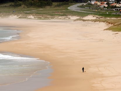 Una mujer de paseo con su perro por la playa de Doniños, en Ferrol (A Coruña).