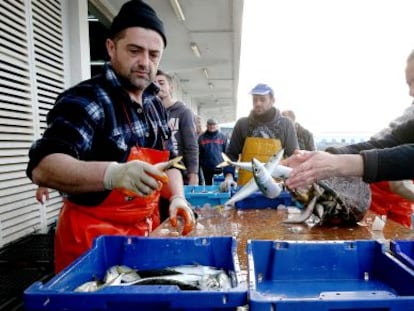 Pescadores de Barbate.