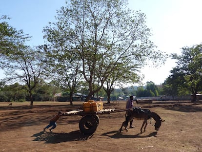 Un niño y un burro empujan garrafas de agua frente al Hospital Rural de Gambo.