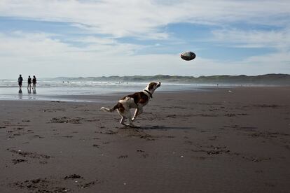 El balón vuela por cada rincón de Nueva Zelanda. Incluso en esta playa de Raglan.