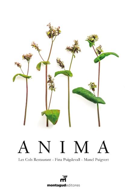 Cover of 'Anima', by Fina Puigdevall (Montagud Editores).  Image provided by the publisher.