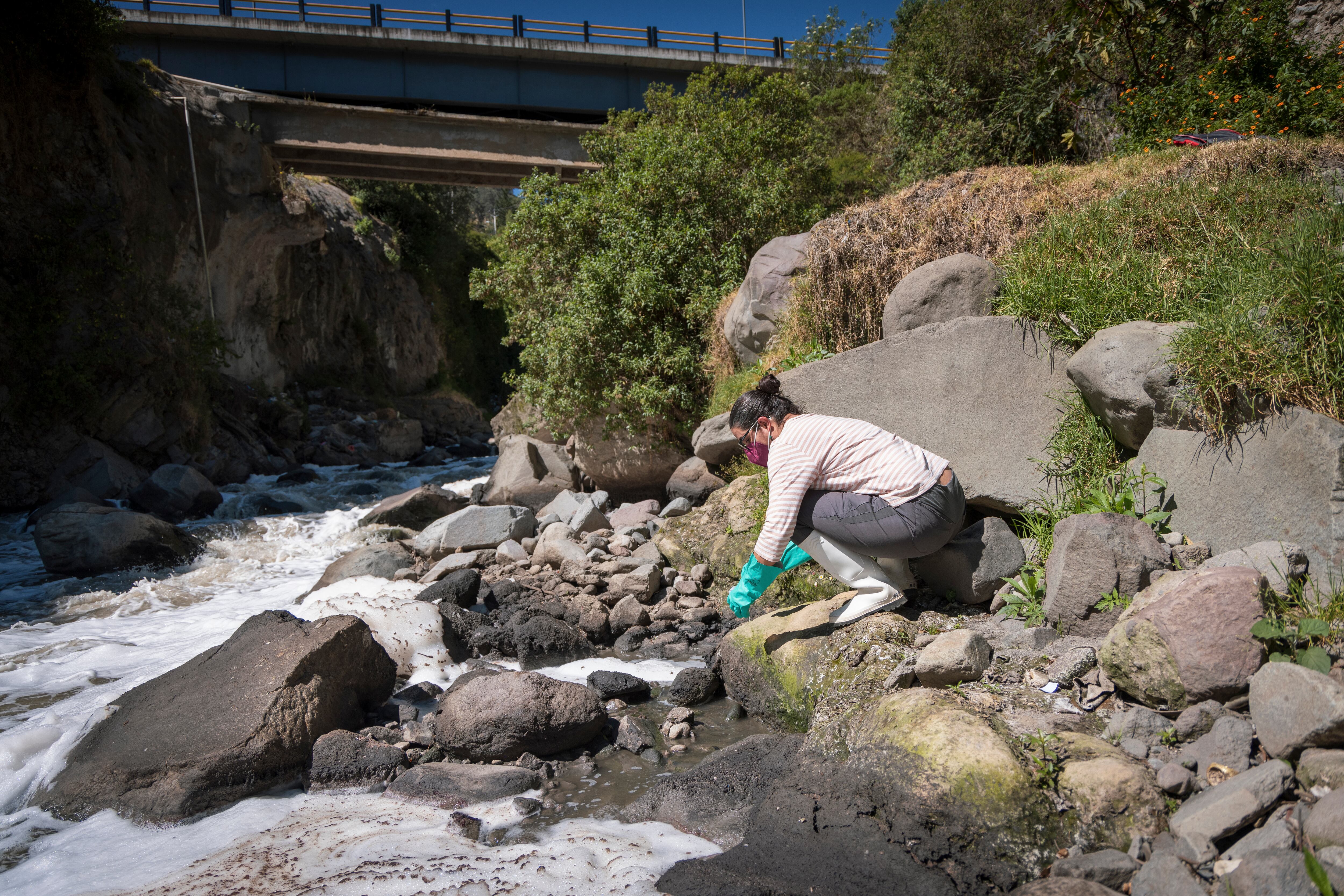 Blanca Ríos, ecóloga e investigadora de la UDLA, toma muestras del río Machángara en Quito (Ecuador).