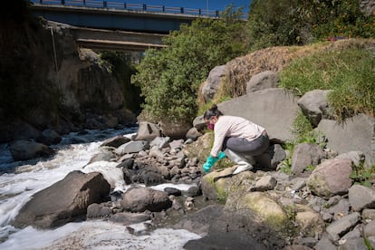 Blanca Ríos, ecóloga e investigadora de la UDLA, toma muestras del río.