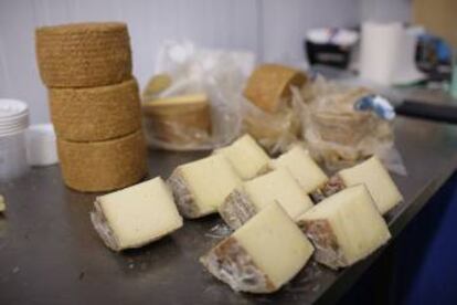 La calidad del queso de la Sierra viene por la elevada concentración de grasa y propiedad de la leche y por formas de producción artesanales.