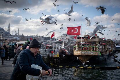 Un hombre alimenta a unas gaviotas en Estambul (Turquía).