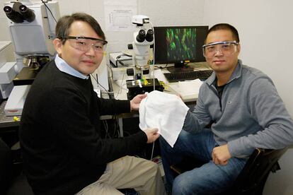 El investigador Ouyang Min (derecha) y su compañero Yu Huang Wang sostienen una muestra del tejido.
