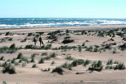 Paseantes en la playa de la Marquesa, en la península del Fangar, en la desembocadura del río Ebro (Tarragona).