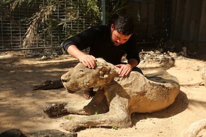 Oweida ha explicado que está negociando con un criador de leones de Gaza para vender el famélico tigre por cerca de 21.000 euros. Entre los animales en venta también se encuentran un avestruz, una tortuga y un pelícano.