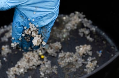 Una muestra de los 'pellets' recogidos ayer en la playa asturiana de Salinas.