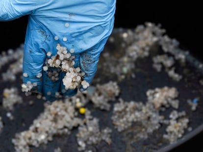 Una muestra de los 'pellets' recogidos ayer en la playa asturiana de Salinas.