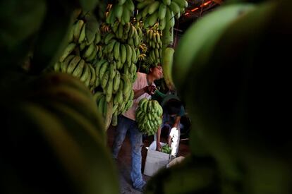 Los trabajadores preparan plátanos para la venta en un mercado en Phnom Penh, Camboya.