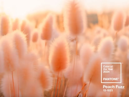 Según Pantone, el color de este 2024 es el PANTONE 13-1023 Peach Fuzz (“pelusa de melocotón”), un 'beige' que no dice su nombre.