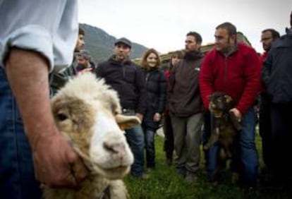 Parte de los veintidos alumnos que escuchan a técnicos y pastores durante la Escuela de Pastores de Andalucía que han iniciado hoy en el Parque Natural de Grazalema en Cádiz, una iniciativa que pretende mantener viva una tradición que busca su futuro.
