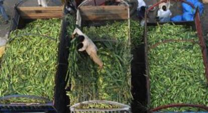 Un agricultor en el mercado de Lahore en Paquistán