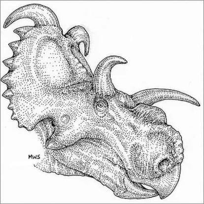 Ilustración del <i>Albertaceratops nesmoi</i> difundida por el Museo de Historia Natural de Cleveland.