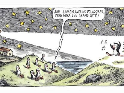 Aves no voladoras