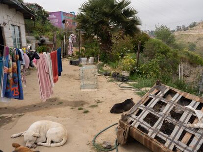 Una casa en Tijuana sin acceso al agua a tan sólo metros del tanque de abastecimiento de la Comisión Estatal de Servicios Públicos de Tijuana.