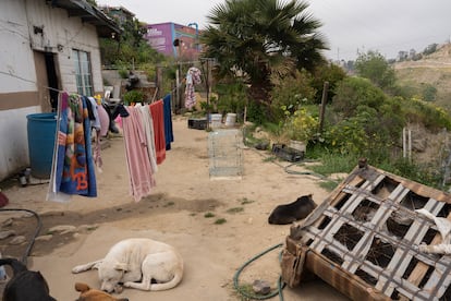 crisis del agua en tijuana