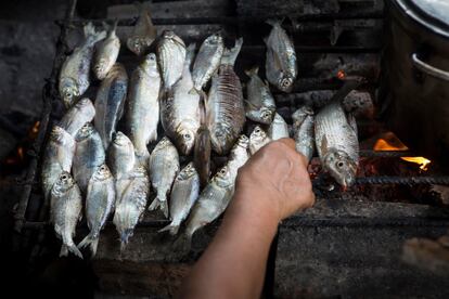 El pescado es la principal fuente de alimentación del pueblo kukama. La continua sucesión de vertidos de petróleo hace que la población esté preocupada por la contaminación del mismo y exija estudios de la calidad del agua y de los peces para poder preservar su salud. 