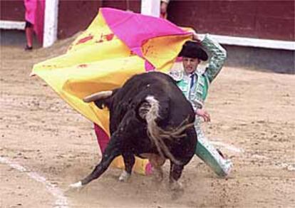 Sergio Aguilar, ante un novillo, ayer en Las Ventas.