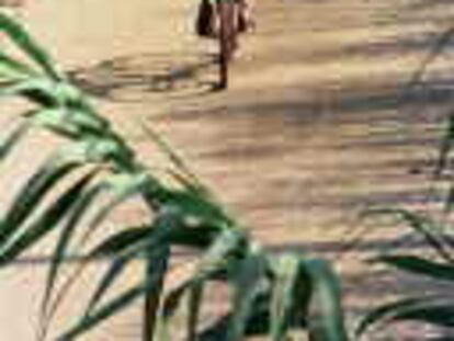 b sin num (26/Jul/00) -imagen recibida por e-mail - Carril Bici "El Carrilet" entre Girona y St. Feliu de Guixols. Las Fotos son de los alrededores de Quart (girona).- Foto: Pere Duran