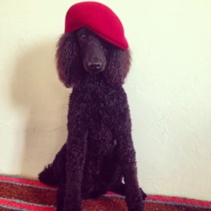 Kahlo con gorra a juego con la moqueta.