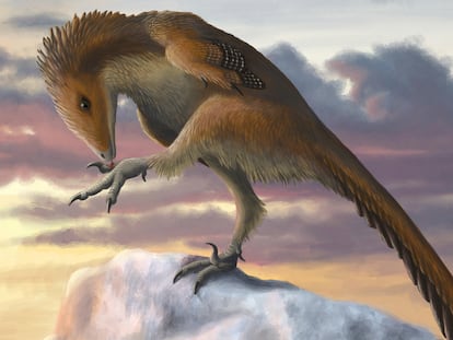 Un dinosaurio de la familia de los troodóntidos, el 'Talos sampsoni', en una ilustración.