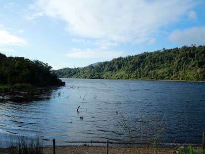 Fotografía del humedal que está ubicado entre los lagos Huillinco y Cucao, en el archipiélago de Chiloé, al sur de Chile.