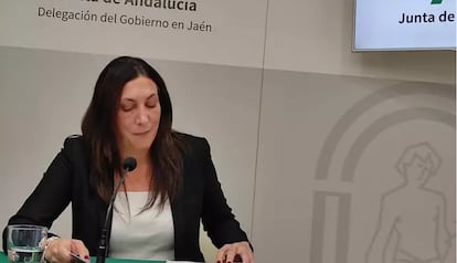 La consejera andaluza de Inclusión social, Juventud, Familias e Igualdad, Loles López, en la rueda de prensa en Jaén en la que informó de la inspección a una entidad que gestiona pisos de extutelados. 