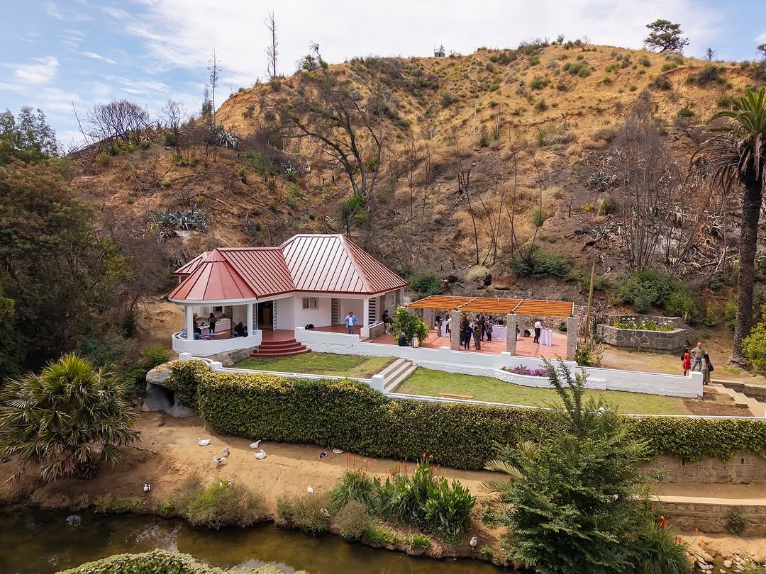 El rebrote del Jardín Botánico de Viña del Mar, a un año del megaincendio en Chile